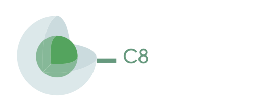 2d14d26a0b538d001195cfa554cb2190_Presto_C8.png